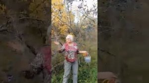 Дары природы. Осень 2021.