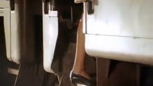 Сесня Петлюры Скорый поезд