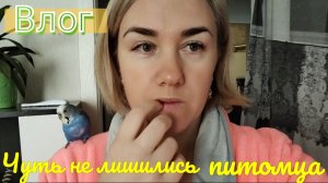 Жизнь семьи на Кубани 🌞 Чуть не лишились питомца 😱 Поговорим?🗣️