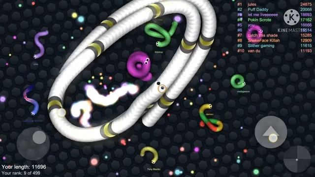 Slither.io gameplay with my new royal white skin