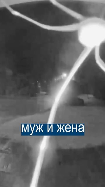 Огромный паук позвонил в дверь и разбудил хозяев смотреть онлайн