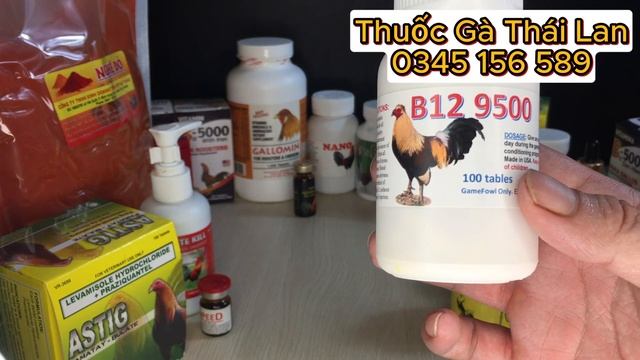 Đỉnh cao dịp lễ có Thuốc Gà Đá Over làm nhiều anh em bất ngờ смотреть онлайн