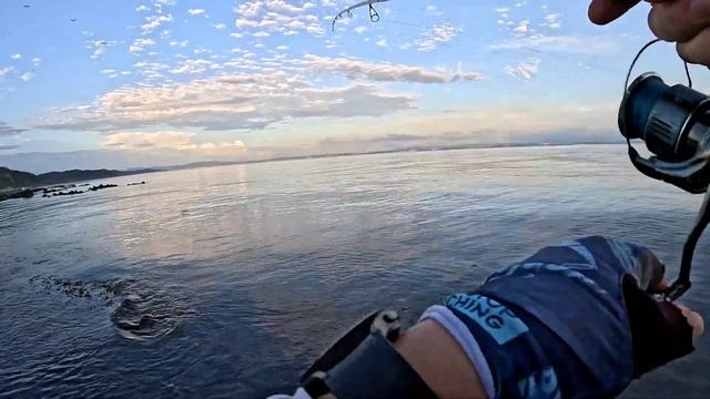 Выход Лакедры.  Морская рыбалка с берега в Южной Корее