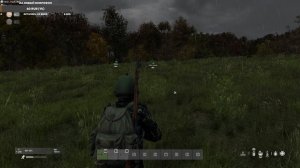 Выживание в Dayz