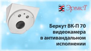 Беркут ВК-П 70 видеокамера в антивандальном исполнении