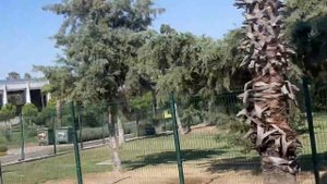 Прилёт в Анталью, получение багажа, трансфер до Сиде.