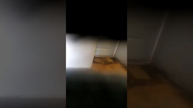 Типичное пьяное быдло
