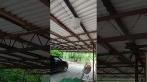 Видео отзыв о системе АНТИ ОСА - отпугиватель ос и шершней