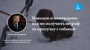 Поводок и намордник: как не получить штраф за прогулку с собакой