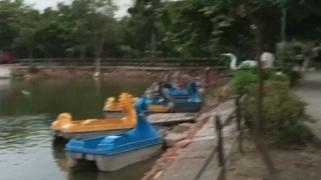 City Forest Ghaziabad||Vatan Rana family vlog. смотреть онлайн