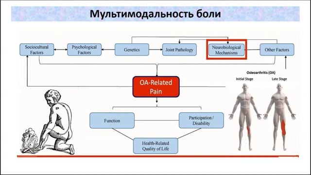 Лила А М    Остеоартрит современные концепции Алексеева Л И    Лечение остеоартрита на современ