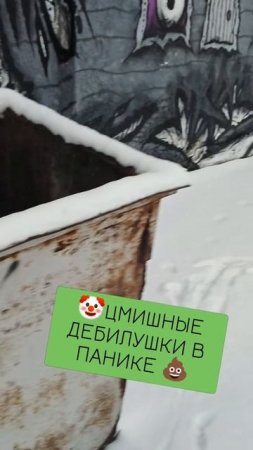 цмишные дебилушки решили проблему с патриотизмом урн радикальным путём 🤣🤣🤣