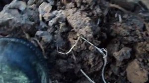 Коп 12 Шурф 2 дома часть 4