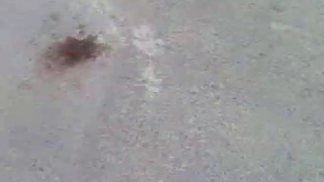 spania bilbao смотреть онлайн