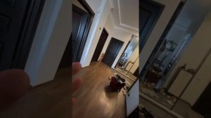 Маша Кохно (#marynova888~1659509984~17952528554064890~1