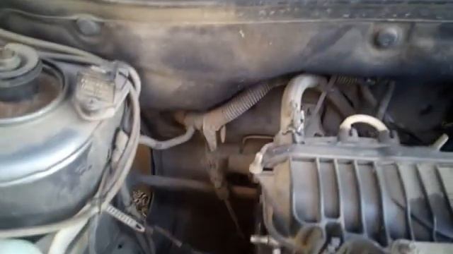 Калина. смотреть онлайн