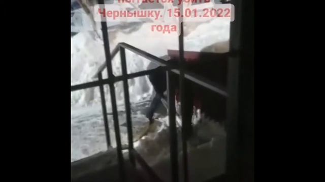 Мужчина закапывает собаку под лестницей смотреть онлайн