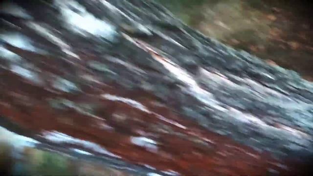 листа пад смотреть онлайн