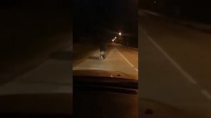 Медведь в Горнозаводске(Сахалин)