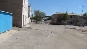 Нукус, часть 6 ЧЕРЁМУШКИ.