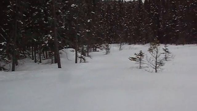 7-Day Solo Winter Camp: Ski Exploring Beaver Pond System - Part 2 смотреть онлайн