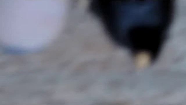 Не трогайте меня!!!!! смотреть онлайн