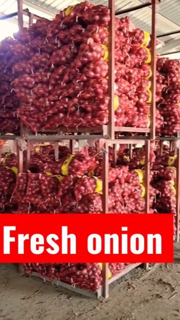 onion supplier смотреть онлайн