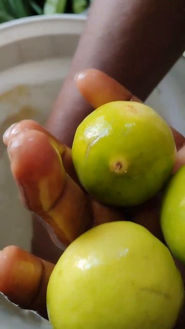 Lemon Price Review in Telugu Is It Worth the Hype #youtubeshorts  #lemonpricereview #vegtables