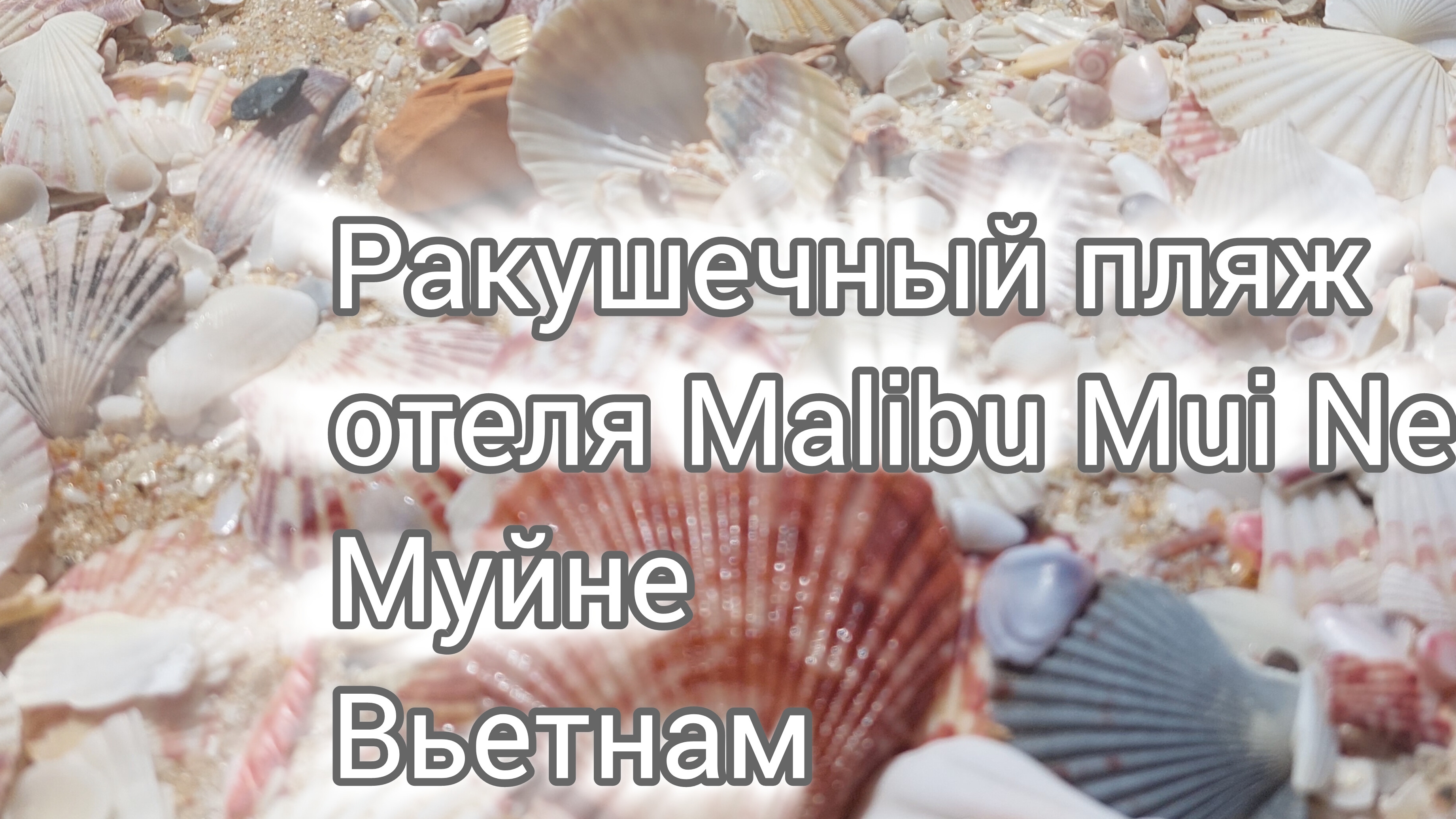 Пляж с красивыми ракушками в Муйне - отель Malibu Mui Ne, Вьетнам