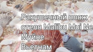 Пляж с красивыми ракушками в Муйне - отель Malibu Mui Ne, Вьетнам