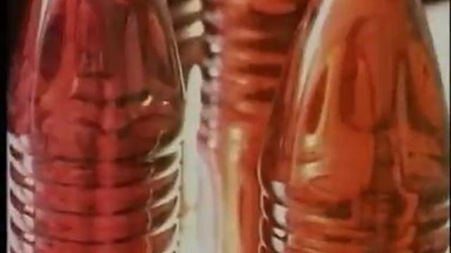 PALM OIL VIDEO смотреть онлайн