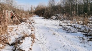 Снега нет 18 Февраля 2025 на огороде под ЛЭП