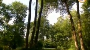 Зачарованные сады_Clos du Peyronnet Pres des Culand Jardins du Pays d`Auge