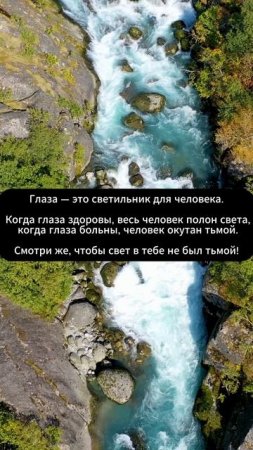 На 90% жизнь состоит из..