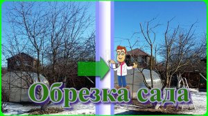 Обрезка сада осенью