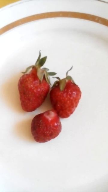 Клубника. Первый урожай смотреть онлайн