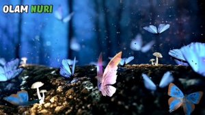 Abdulloh domlla Yangi maruza siqilish shartmas