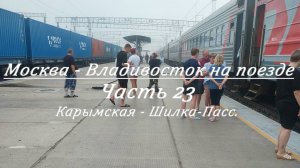 Москва - Владивосток на поезде. Часть 23. Карымская - Шилка-Пасс.