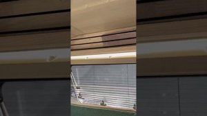 Обзор прицепа-капли Белка 2800 Limited edition от Kitov camper