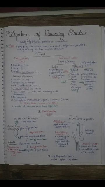 biology notes, Class-11 Anatomy of flowering plants part-1 смотреть онлайн