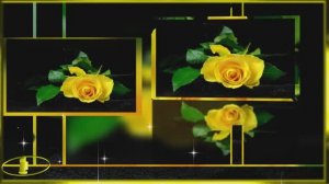 ❤️️🌹❤️️   КАКАЯ ТРОГАТЕЛЬНАЯ, ДУШЕВНАЯ  ПЕСНЯ !  ЖЁЛТАЯ  РОЗА !     ВЯЧЕСЛАВ     ЯВТЫХ !