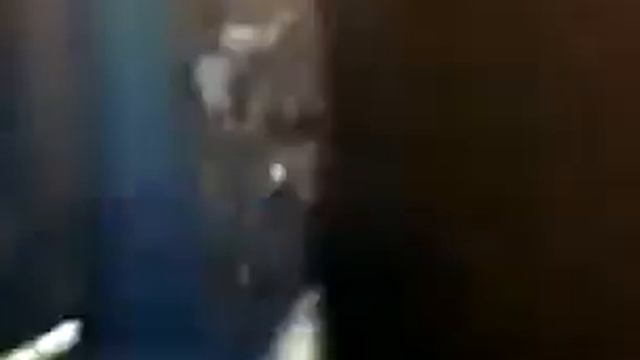 Lineage 2 chronicles смотреть онлайн