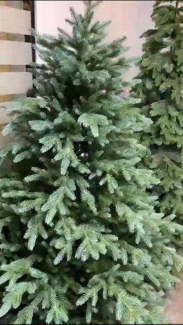 Ель Литая Изумрудная Эдит смотреть онлайн