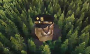 Флоджо-флоджо 3 серия 1 сезон