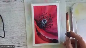 Акварель. Маковая сердцевина
