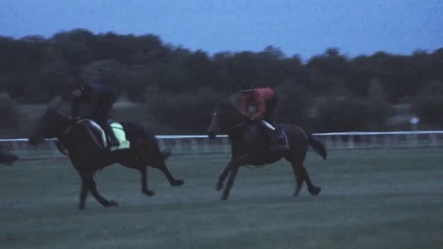 1000 winners for HAYLEY TURNER! Trailblazing jockey on Group 1 glory and riding for The Queen! смотреть онлайн