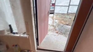 Кисловодск, 2-х комнатная квартира в курортной зоне. Цена - 6,5 млн. #кисловодск #кмв