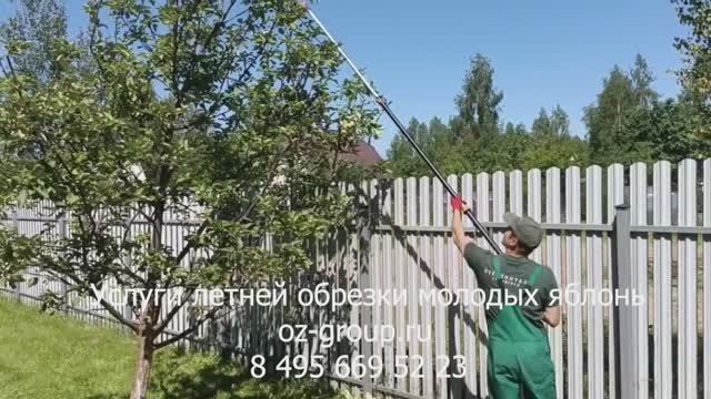Услуги летней обрезки и формирования молодых яблонь даче. Выезд Агрономов по Москве и обл. Звоните!