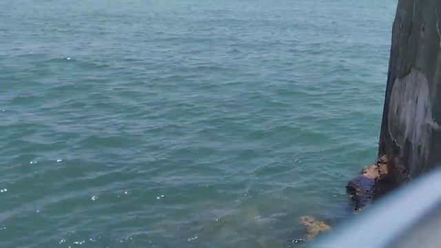 Chinese Temple and Park @ Repulse Bay Hongkong #vlog #yt #vlogger #tour #hongkong #trending #viral смотреть онлайн