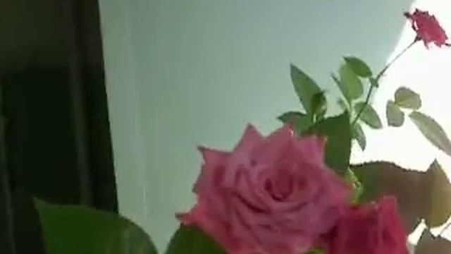 Изображение 8 августа 2019г 029 смотреть онлайн